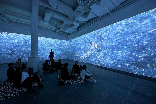 14日最終日は17:00まで「EUROPEAN DIGITAL ART EXPERIENCE : THE IMMERSIVE IN OSAKA 2025」 - Study：大阪関西国際芸術祭 2025｜大阪府・関西