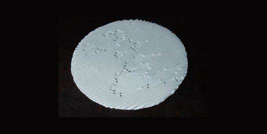 【8月24日(日)開催】リン・サン（Linh San）トークイベント「秋は私の手から葉を食べる」参加者募集