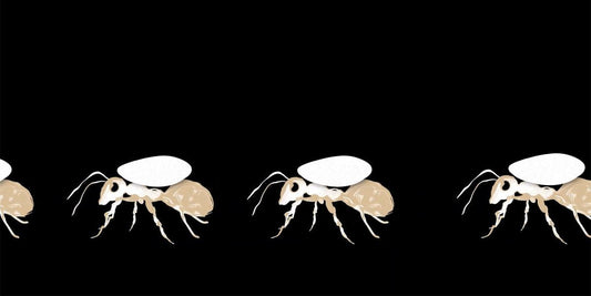 【9月15日(月)＆10月5日(日)開催】「人間がつくるもの、テクノロジーの物語」ーリン・サンのキュレーションによる映像作品上映会