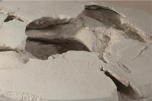 かのう たかお｜Takao KANO