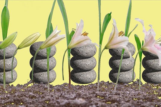 于佩莹、范梓虹、王子墨、陈颖煊、林彦希